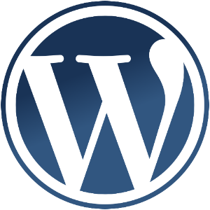 WordPress Agentur